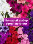 Семена петунии, в ассортименте
