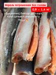 ФОРЕЛЬ ПБГ 0,9-1,4кг