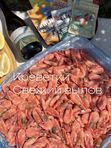 СЕВЕРНЫЕ КРЕВЕТКИ 150+, 5КГ