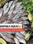 БАРАБУЛЬКА черноморская