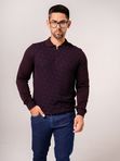 Джемпер мужской ENRICO CERINI 244005 Burgundy