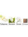 Nasomatto Narcotic Venus для женщин Духи