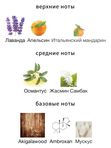 Hormone Paris Gaba унисекс Парфюмерная вода
