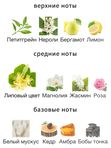 Acca Kappa Tilia Cordata унисекс Парфюмерная вода