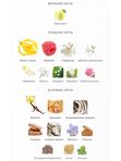 Roja 51 Pour Femme Essence De Parfum для женщин Парфюмерная вода