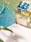Roja Elysium Isola Blu для мужчин Парфюмерная вода