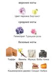 What We Do Is Secret Парфюмерная вода Messy Sexy Just Rolled out of Bed унисекс