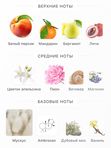 Afnan Mystique Bouquet для женщин Парфюмерная вода