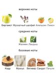 Shaik Chic Shaik No 70 для мужчин Парфюмерная вода