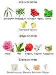 Penhaligon's Savoy Steam унисекс Парфюмерная вода
