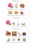 Amouage Guidance 46 унисекс Духи