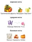 Fragrance du Bois Tropiques унисекс Духи