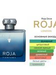 Roja Elysium Pour Homme Eau Intense для мужчин Парфюмерная вода