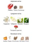 Amouage Honour Woman для женщин Парфюмерная вода