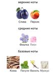 Byredo Bibliotheque унисекс Парфюмерная вода