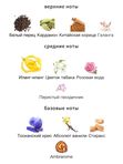 Carner Barselona Sweet William унисекс Парфюмерная вода