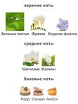 Amouage Reflection Woman для женщин Парфюмерная вода