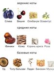 HFC Private Code унисекс Парфюмерная вода