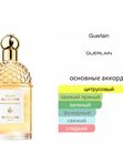 Guerlain Aqua Allegoria Mandarine Basilic унисекс Туалетная вода