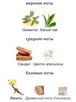 HFC Devil`s Intrigue для женщин Парфюмерная вода