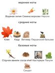 Zoologist Perfumes Beaver Maple Edition унисекс Парфюмерная вода