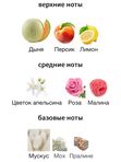 Antonio Maretti Mi Scusi для женщин Парфюмерная вода