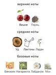 Fragrance du Bois Sirene для женщин Духи