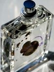 Escentric Molecules Molecule 01 унисекс Туалетная вода