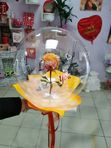 Цветы в шаре