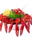 Раки вареные в укропном соусе, крупные