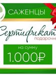 ПОДАРОЧНЫЕ  СЕРТИФИКАТЫ