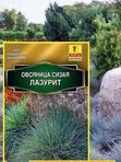 Овсяница сизая ЛАЗУРИТ