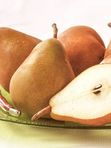груша ДЮЙМОВОЧКА