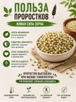 НАБОР ИЗ 8 ВКУСОВ Живой гранолы из проростков, 1030 гр