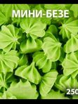 Безе мини 50гр.в асс-те