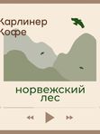Фр. Норвежский Лес🌲❄️