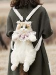 Рюкзак «Рэгдолл» кот