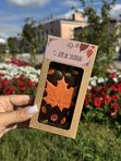 Осенний шоколад С Днём знаний