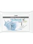 Альгинатная маска с гиалуроновой кислотой Anskin Hyaluronic Modeling Mask