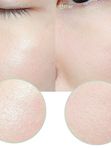 Компактная матирующая пудра The Saem Saemmul Perfect Pore Pact