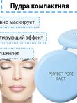 Компактная матирующая пудра The Saem Saemmul Perfect Pore Pact