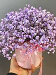 Композиция №0095