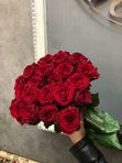 Роза Росиия (60см) Бардовая