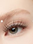 Ardell Faux Mink 817 Накладные ресницы норка, шт
