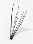 Andrea Perma Lash Naturals Natural Medium Пучки ресниц безузелковые средние черные, шт