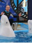 🐬ДЕЛЬФИНАРИЙ РИВЬЕРА🐳