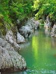 🤩 Прогулки на сапах (SAP досках)