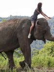 🐘Парк СЛОНОВ в Сочи до 5 сентября🐘