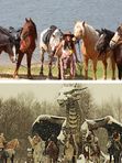 Эксклюзивный ретрит в Конном парке