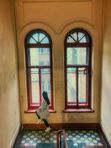 Фотоэкскурсия по Петербургским парадным (пешеходная, присоединение к группе)